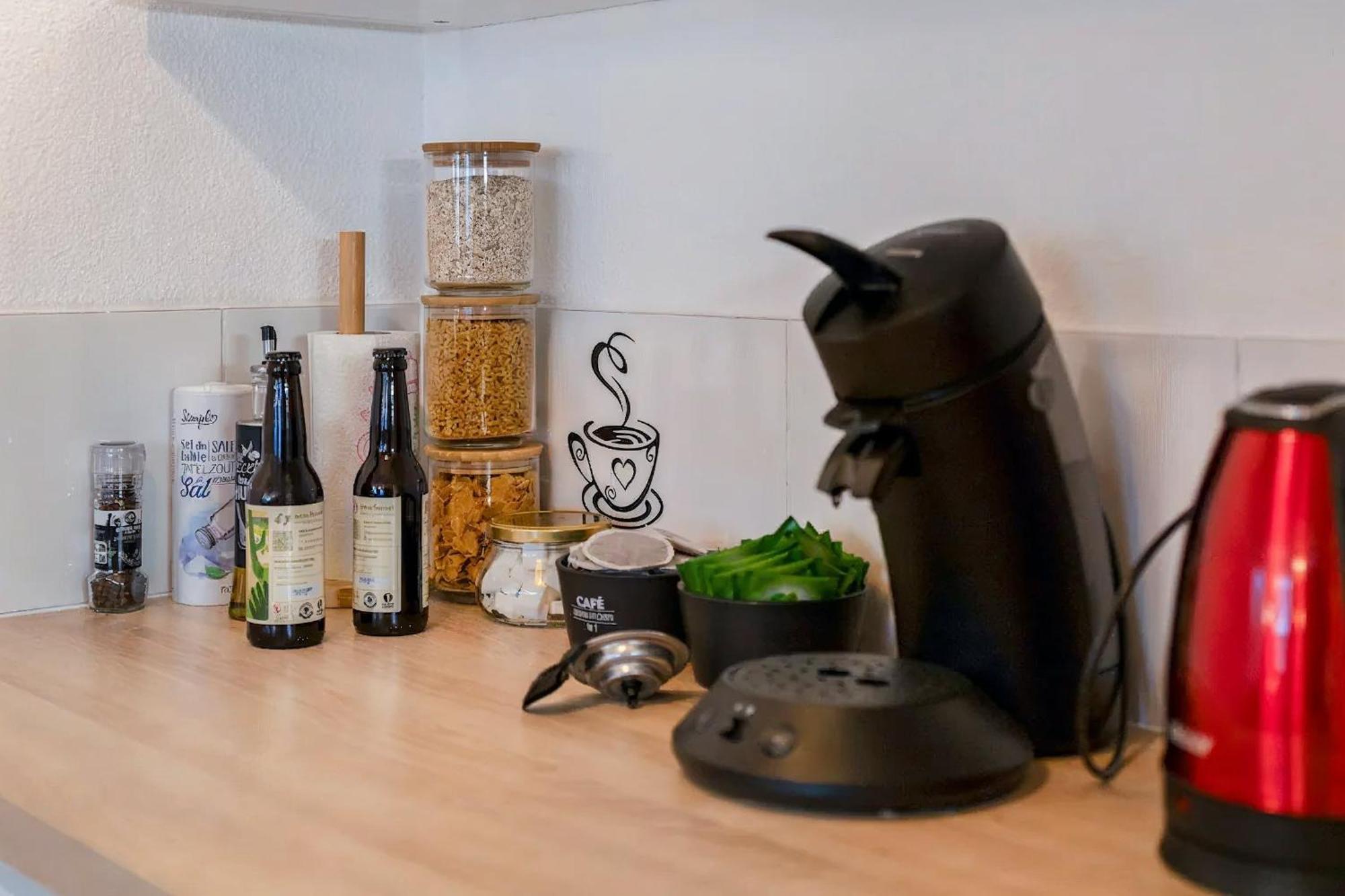 Superbe Appartement - Parking Gratuit - 4 Personnes Chambéry Exteriör bild